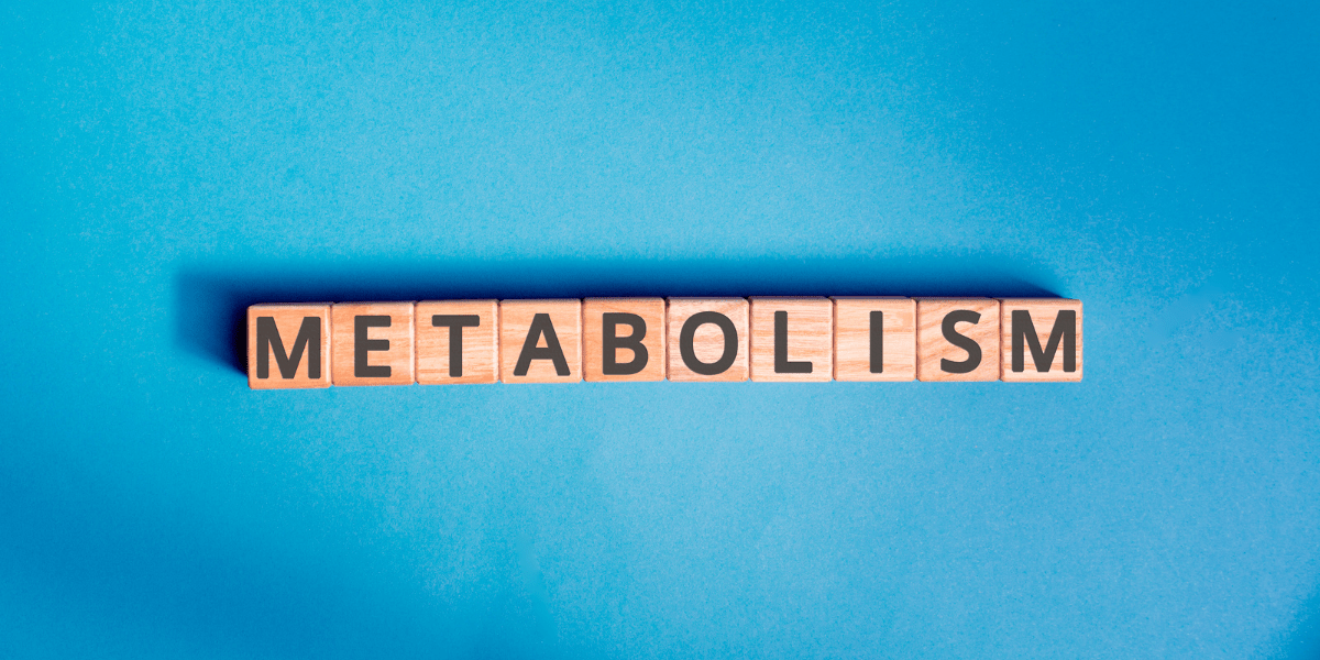 scrabble block letters spelling out metabolism on a blue background