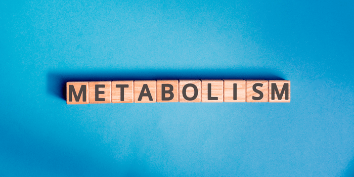 scrabble block letters spelling out metabolism on a blue background