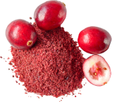 Cranberry Juice Powder 