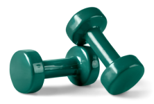 Metabolism Support