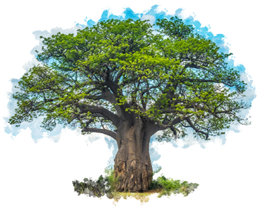 Fibriss® Organic Baobab