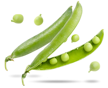 Prebiotic Fibriss®