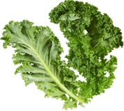 Kale 
