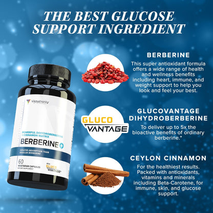 Berberine (GlucoVantage® Dihydroberberine) - Vitauthority