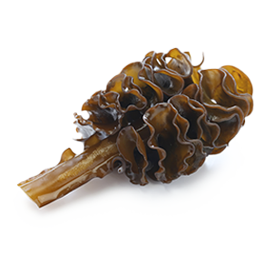 Fucoxanthin
