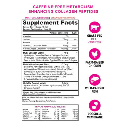 Multi Collagen Burn Powder - Offer - Vitauthority