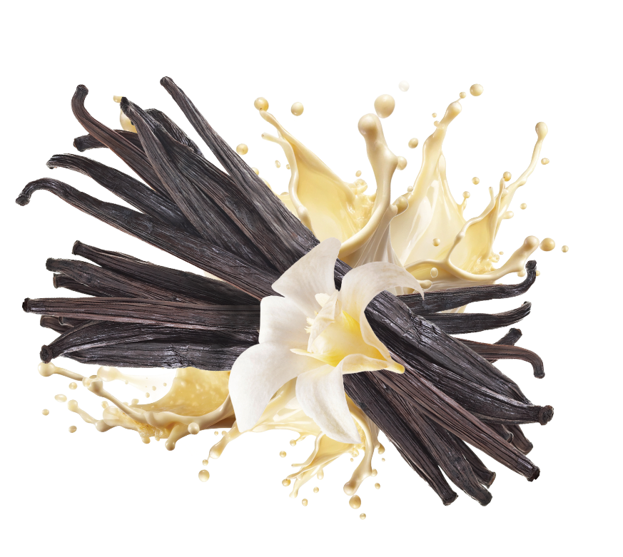 Vanilla